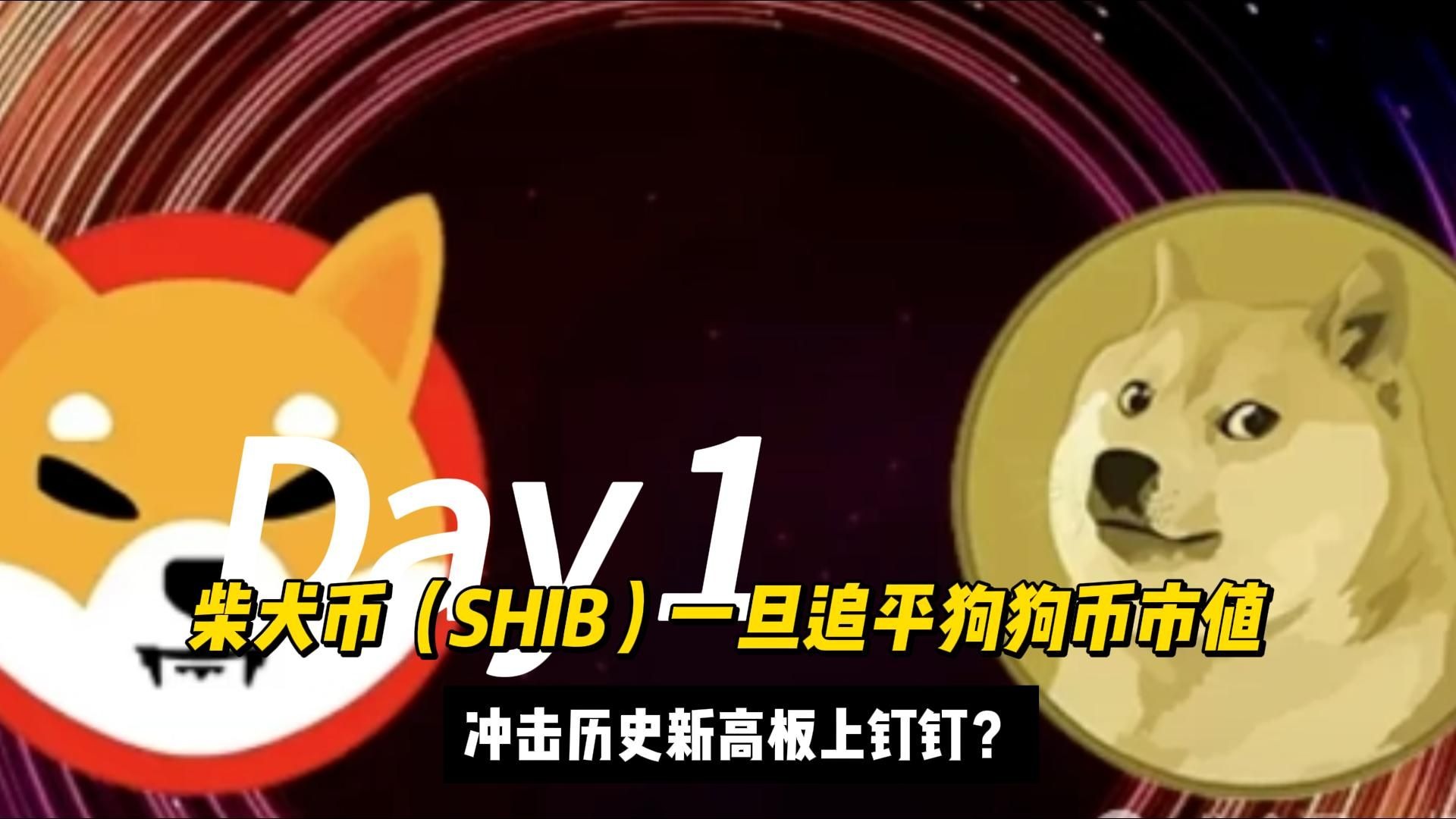 狗狗币刷新年度新高，攀升幅高达SHIB%，还还值得跟进吗？，震惊市场