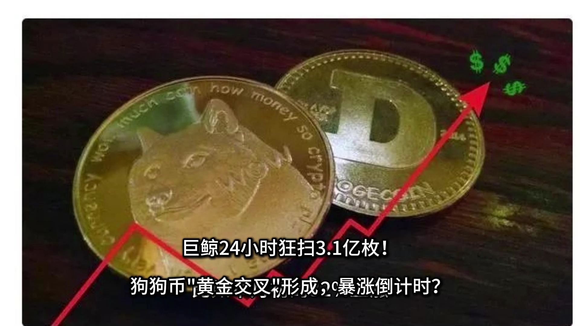 包含Coinbase空投即将开始，参与用户将获狗狗币枚代币的词条-Kaiyun体育App下载